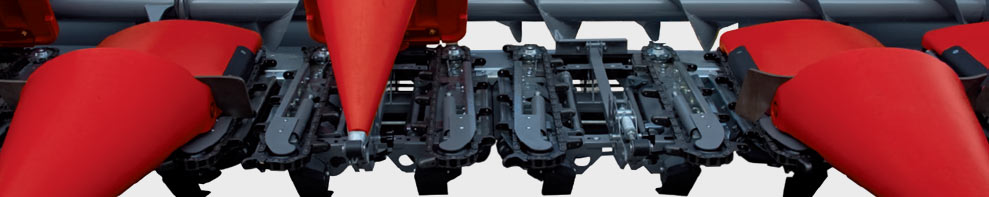 image-large-top